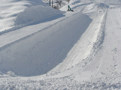 2008NFO005.jpg