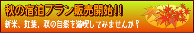 2008_Autumn_accomodation.png