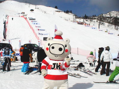 20090228_nfo1.jpg