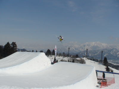 20090228_nfo3.jpg