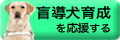 盲導犬
