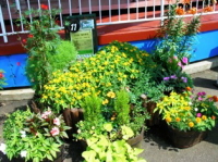 gardening000-2.jpg
