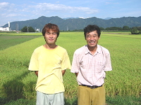 koshihikari_farm02.jpg