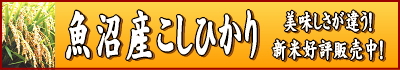 koshihikari_new.jpg