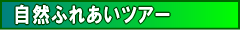 optional_tour_summer_shizen.png