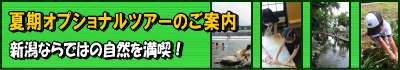 optional_tour_summer_ver.png