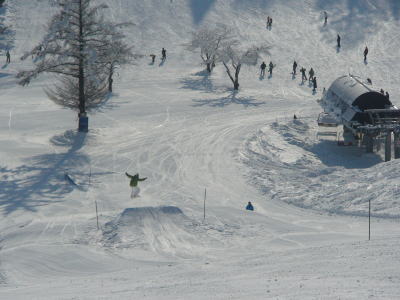 park5.jpg