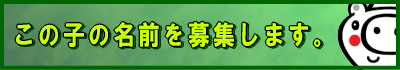 piggy_need_a_name.png