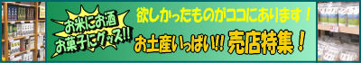 souvenir_shop_summer.png
