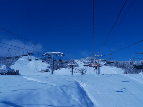 20101226_1.jpg