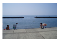 kasiwazaki.png