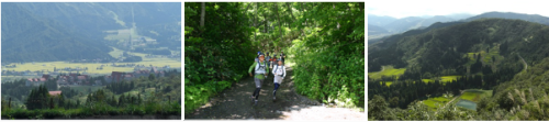 trail_main.png