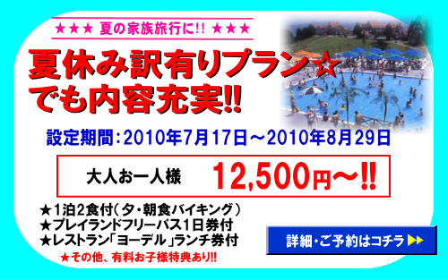 web_gentei_summer_wakeari.png
